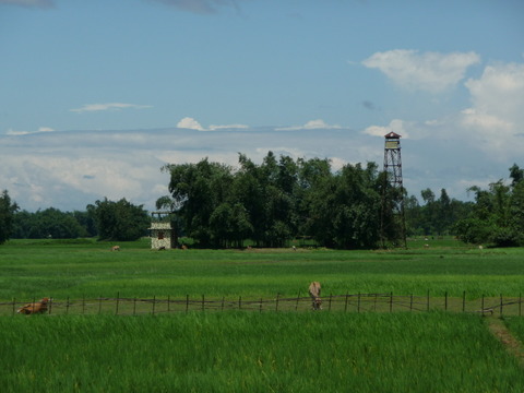 b-tb_watchtower.jpg b-tb_watchtower.jpg