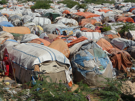 mog-refugee2.png mog-refugee2.png