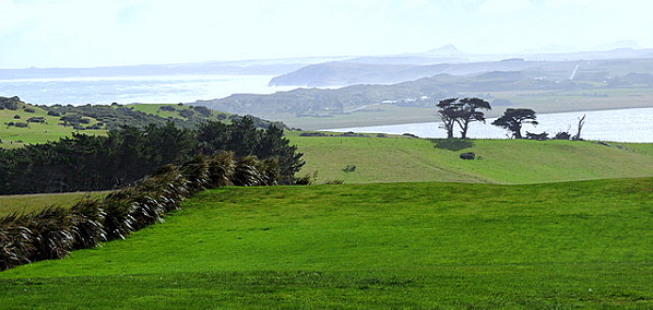 chathams1.png chathams1.png