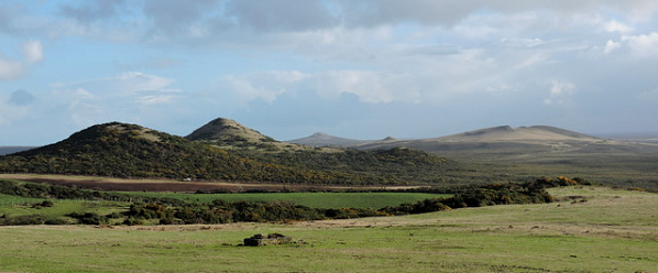 chathams3.png chathams3.png