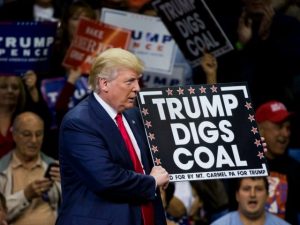 trump-digs-coal