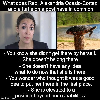 cortez-and-the-turtle